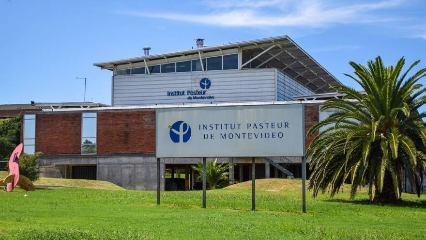 Los resultados fueron difundidos por el Instituto Pasteur de Montevideo