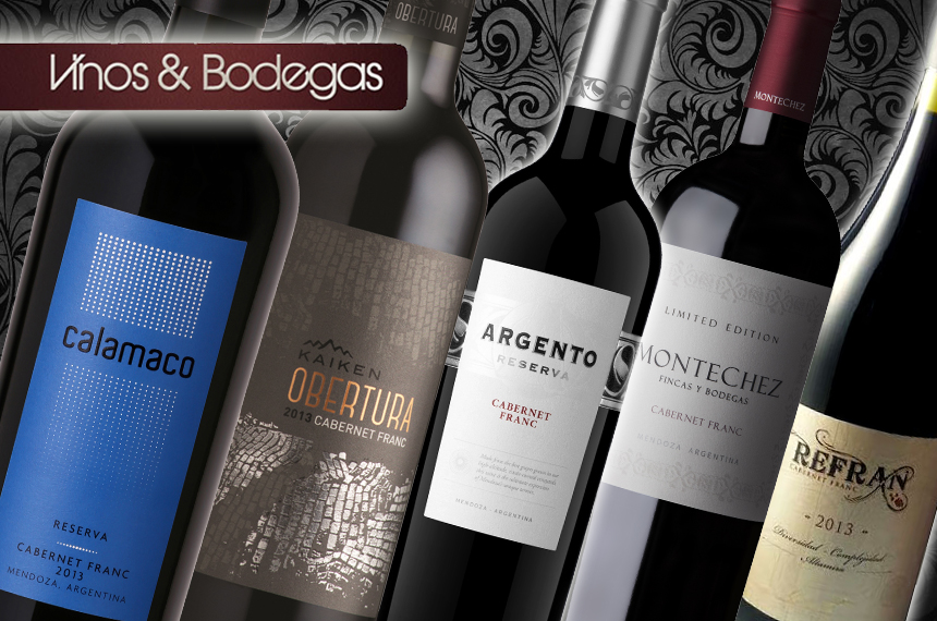Cabernet-Franc-imagen