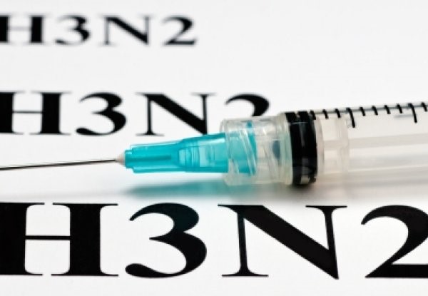 H3N2 (2)