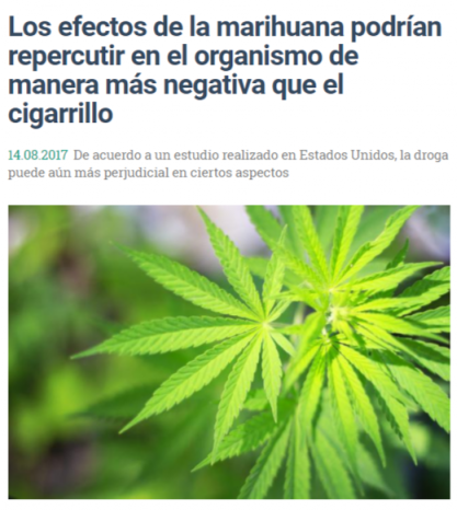 ScreenMarihuana1